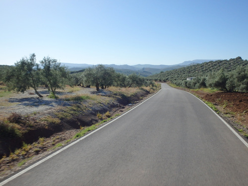 On the road to Montefr&iacute;o.